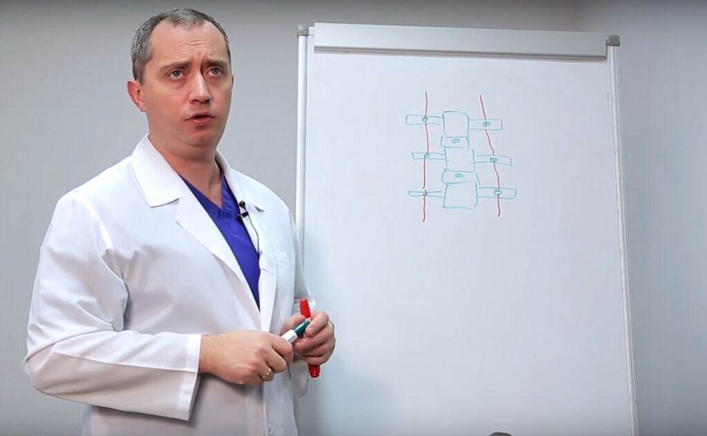 Дәрігер омыртқаның құрылымын көрсетеді